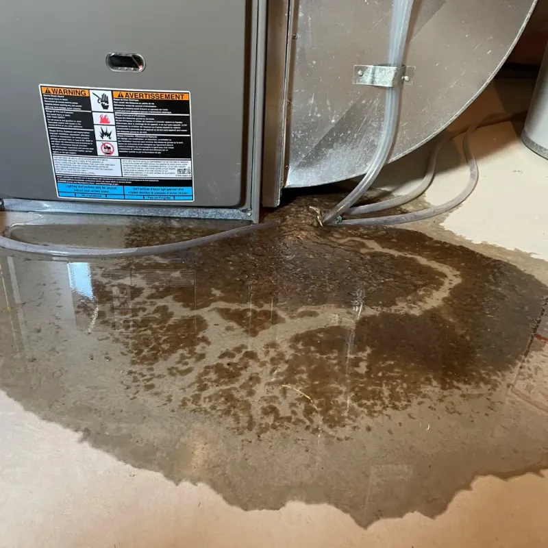 Appliance Leak Cleanup in Mount Olivet, KY