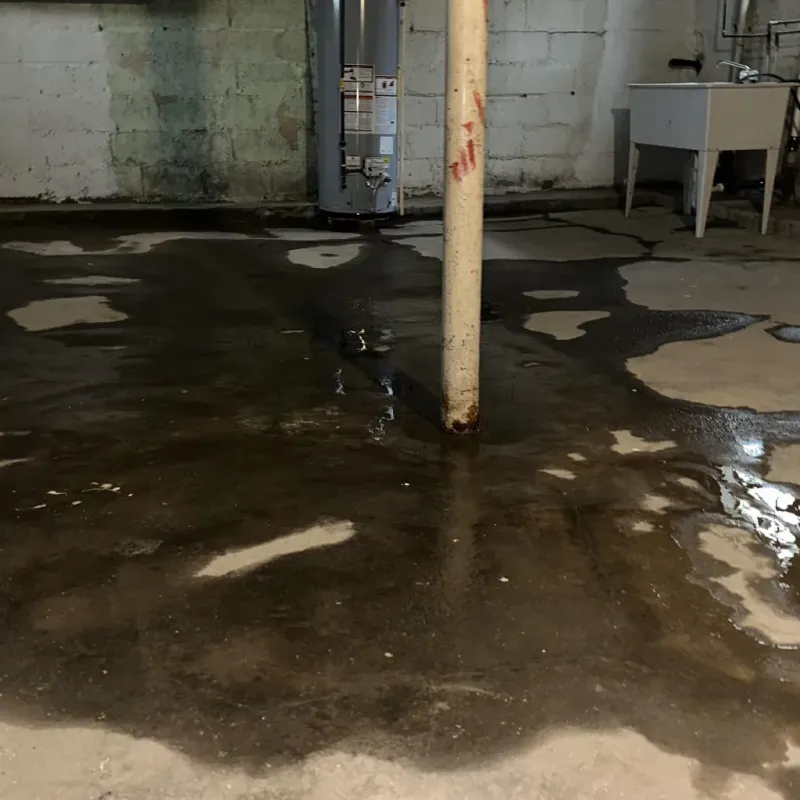 Emergency Water Extraction And Removal in Mount Olivet, KY